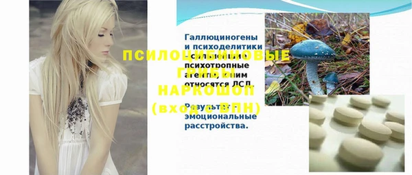 хмурый Бородино