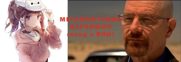индика Верхний Тагил