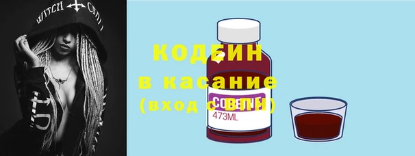 хмурый Бородино