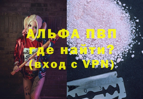 хмурый Бородино