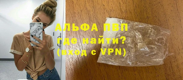 индика Верхний Тагил
